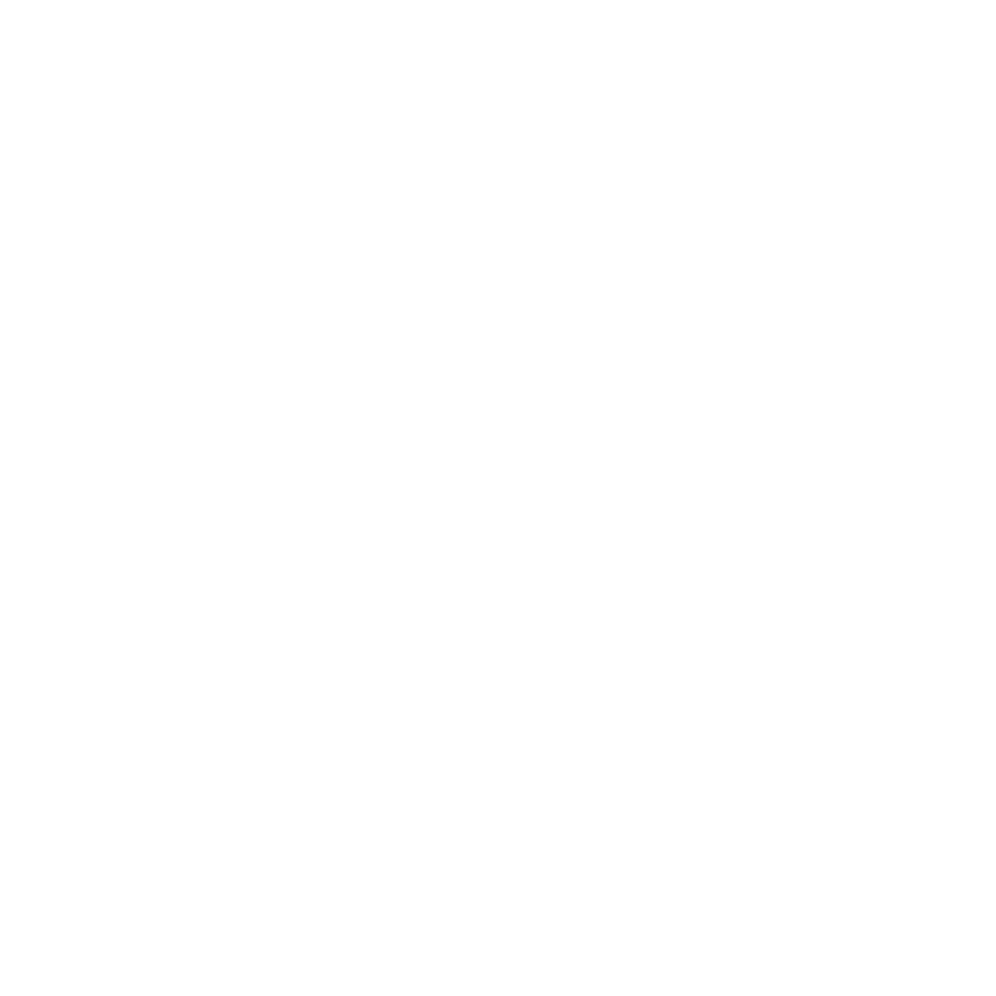 Client 11